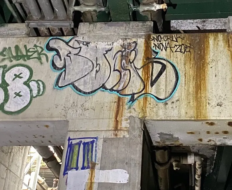 5_Bones(RIP)_2000s